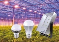 Ampoule led horticole