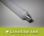 Ampoule tube linolite S19