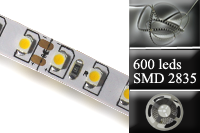 15 M de bandeau led IP 20 7.2W - blanc froid 