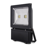 projecteur led ultra plat 100w blanc froid Forever light