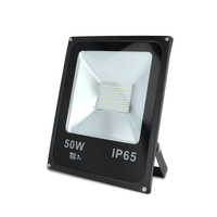Projecteur led 50W lumière du jour Forever light