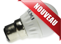 Ampoule led G45, B22, 4W, blanc chaud 