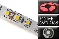 Bandeau led 4.8W - 300 leds - IP20 - rouge - rouleau de 5M Forever light