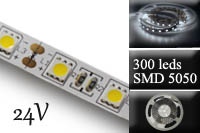Bandeau led 24V, 10W/M, 300 led, blanc froid 