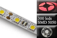 Bandeau led 10W - 300 leds - rouge - rouleau de 5M 