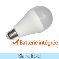 Ampoule LED Sécurité E27 Bulb G45 7W 6000°K + Batterie 3h Vision EL