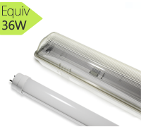 Kit tube led T8 Blanc froid + réglette étanche 1200 mm Vision EL