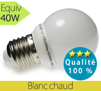 Ampoule led E27, 5W, 450 lm, 2700°K