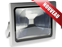 Projecteur led RGB 30W avec télécommande 