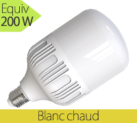 ampoule led puissante 30W (equiv 200W)