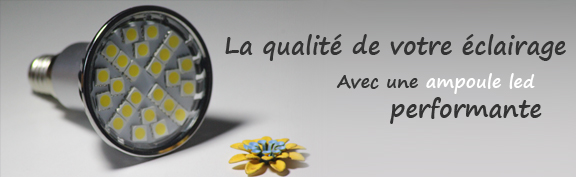 ampoule led E14 (petite vis)